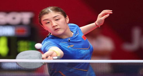 案例分析 案例分析